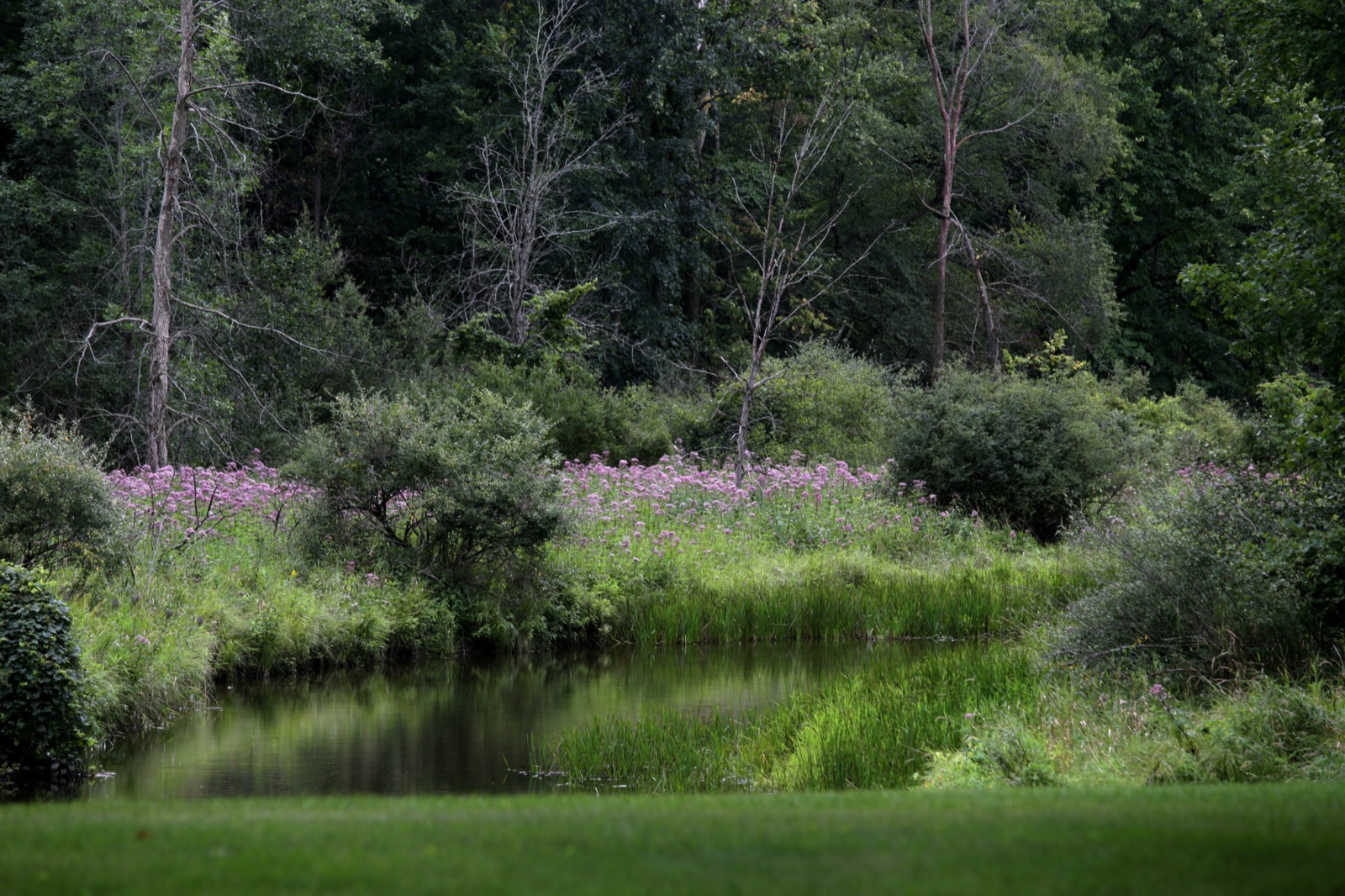 River Cabin — Riverside